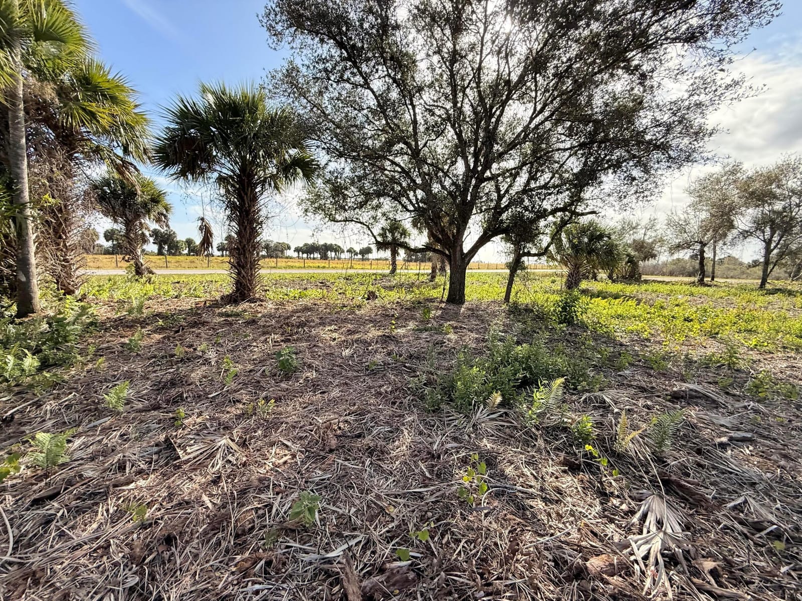 14415 NW 286th Street, Okeechobee, FL 34972 photo 8
