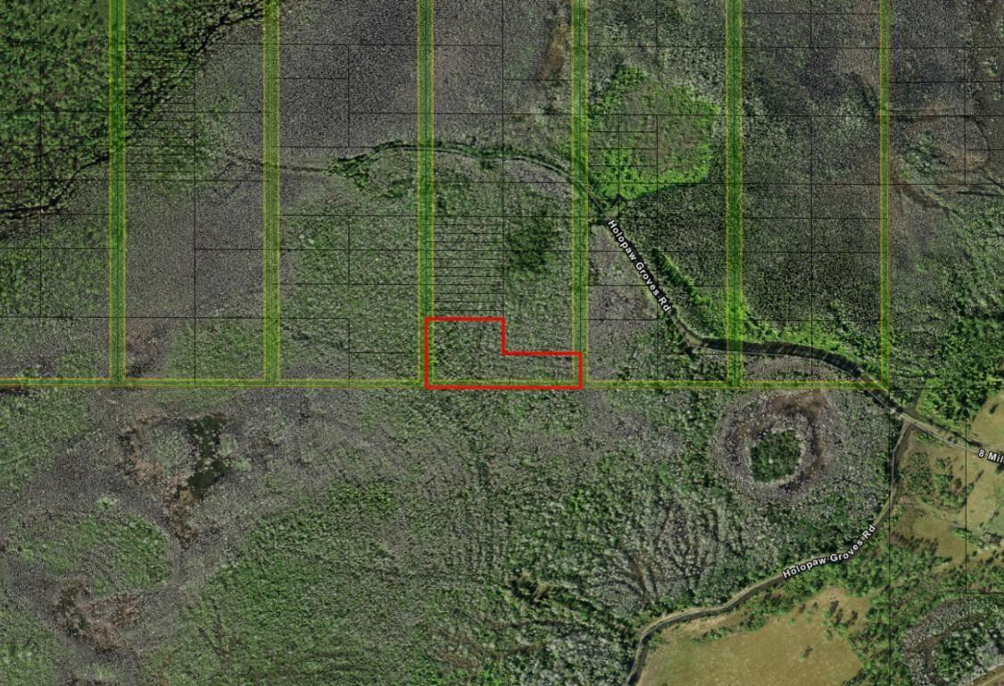 0 Holopaw Groves Road, St. Cloud, FL 34772, St Cloud