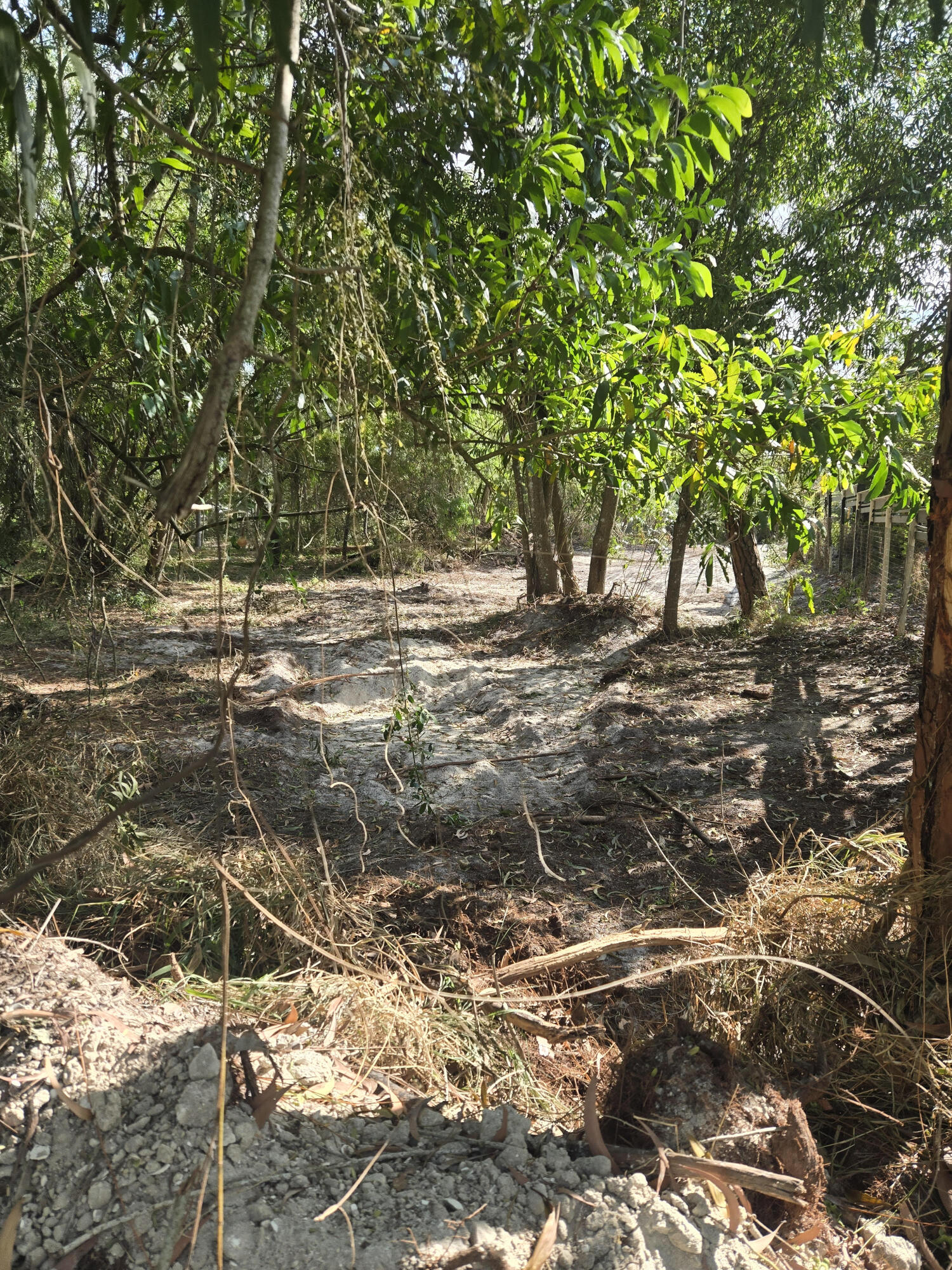 17534 42nd Road N, The Acreage, FL 33470, The Acreage