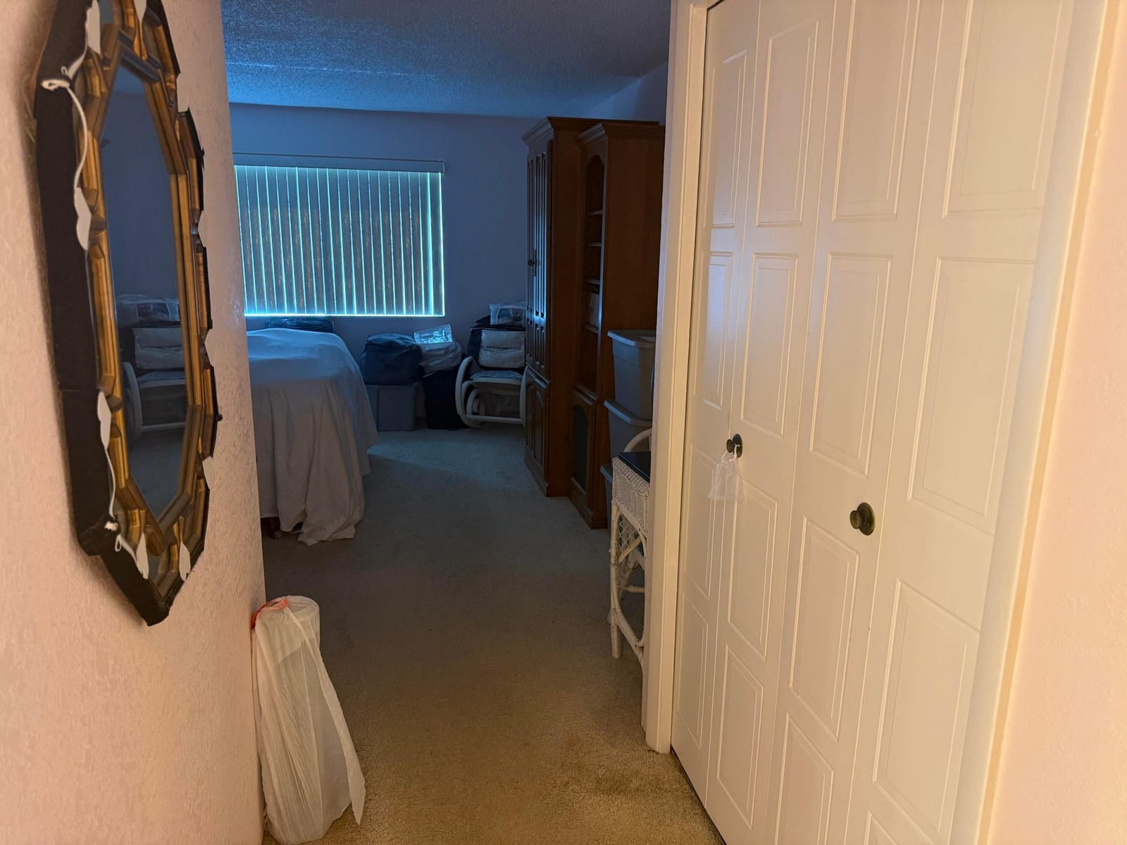 399 Lakeview Drive 202, Weston, FL 33326 photo 7