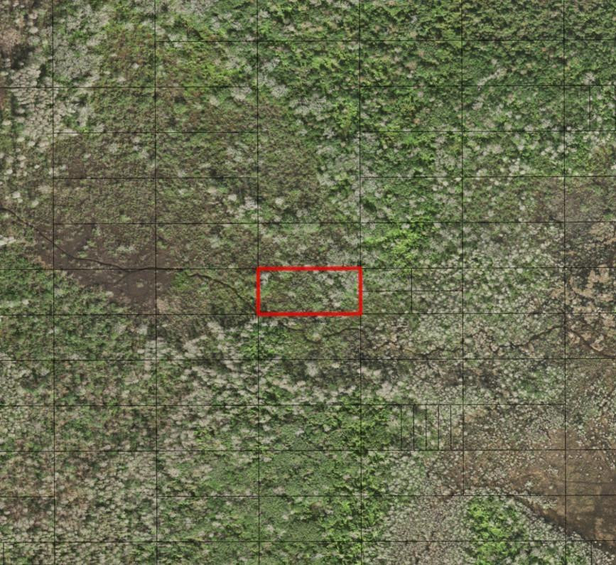 0 Holopaw Groves Road, St. Cloud, FL 34772, St Cloud