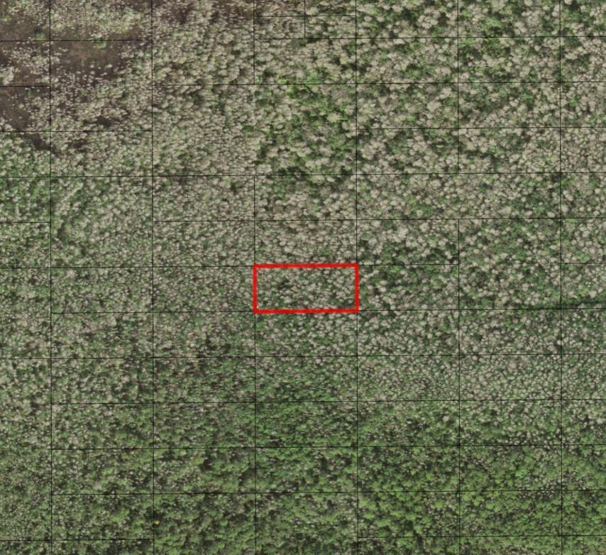 0 Holopaw Groves Road, St. Cloud, FL 34772, St Cloud