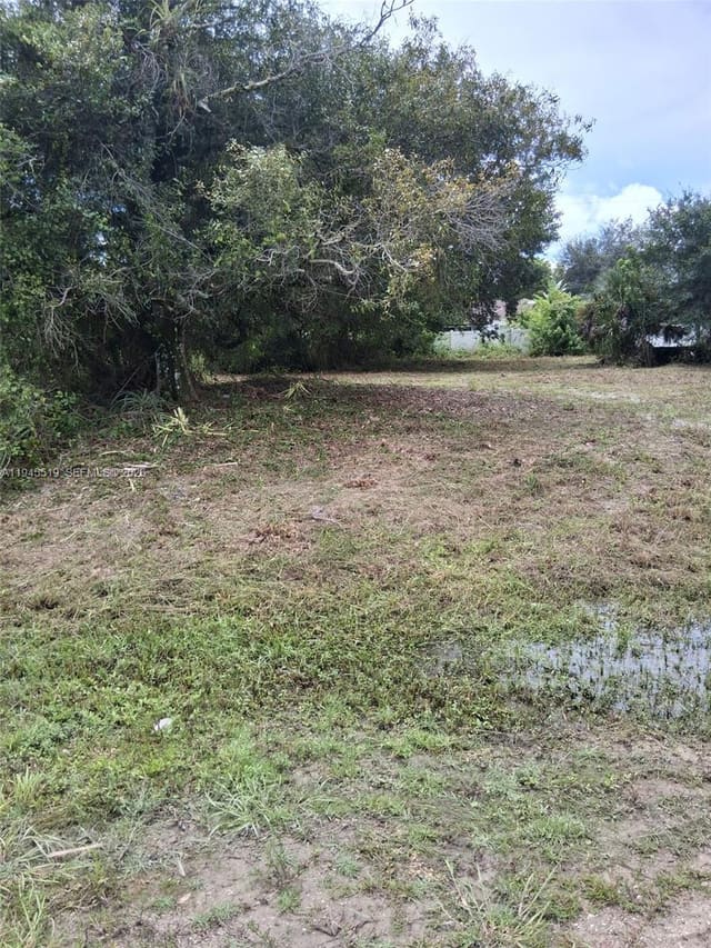 14070 Carlos Street, Buckingham Park, Fort Myers, FL