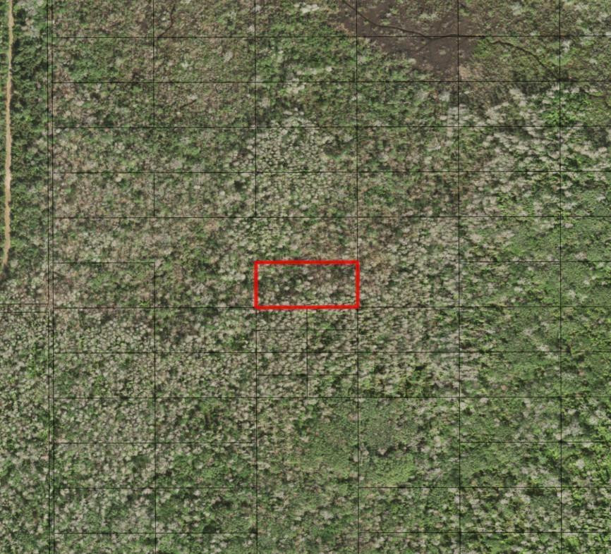 0 Holopaw Groves Road, St. Cloud, FL 34772, St Cloud