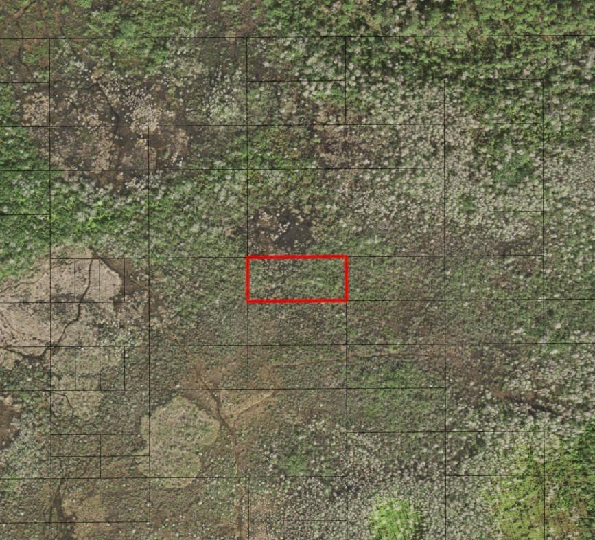 0 Holopaw Groves Road, St. Cloud, FL 34772, St Cloud