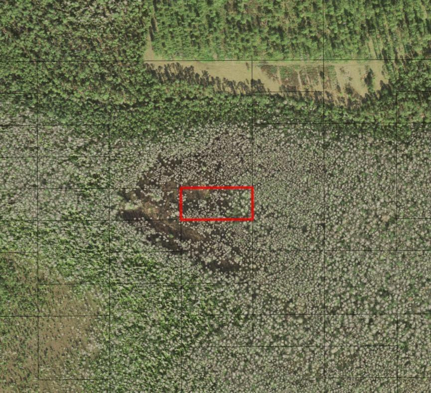 0 Holopaw Groves Road, St. Cloud, FL 34772, St Cloud