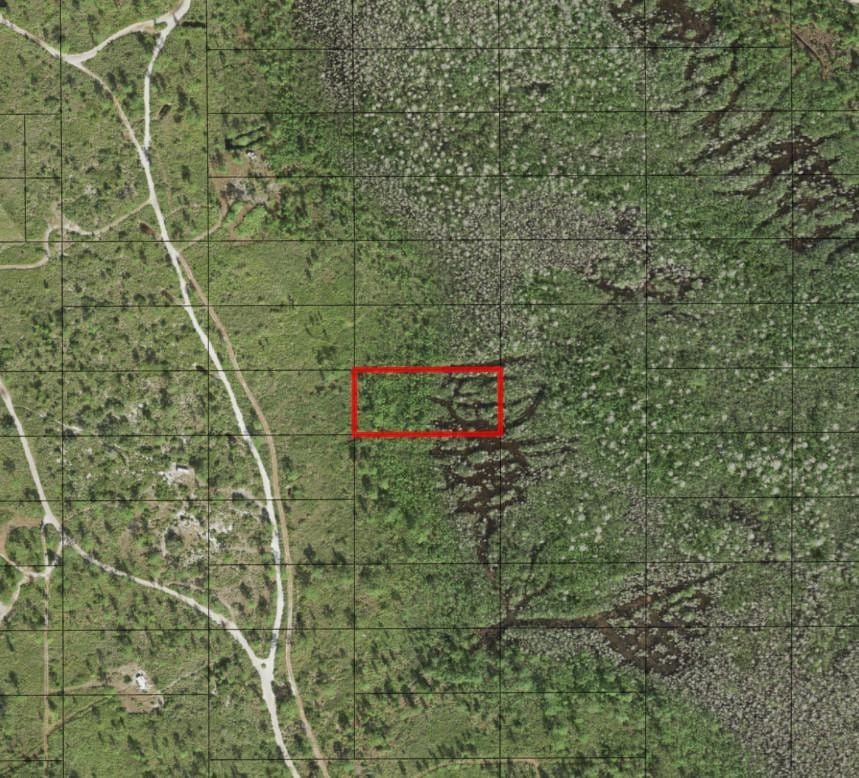 0 Holopaw Groves Road — photo 2