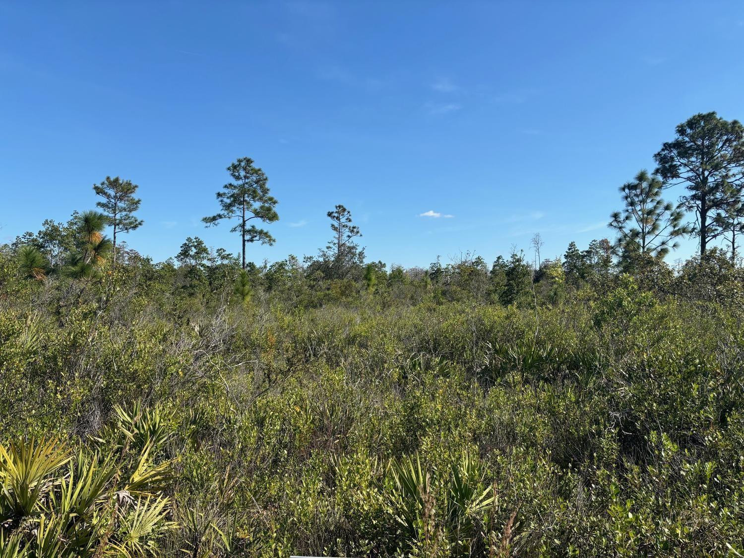 0 Holopaw Groves Road, St. Cloud, FL 34772, St Cloud