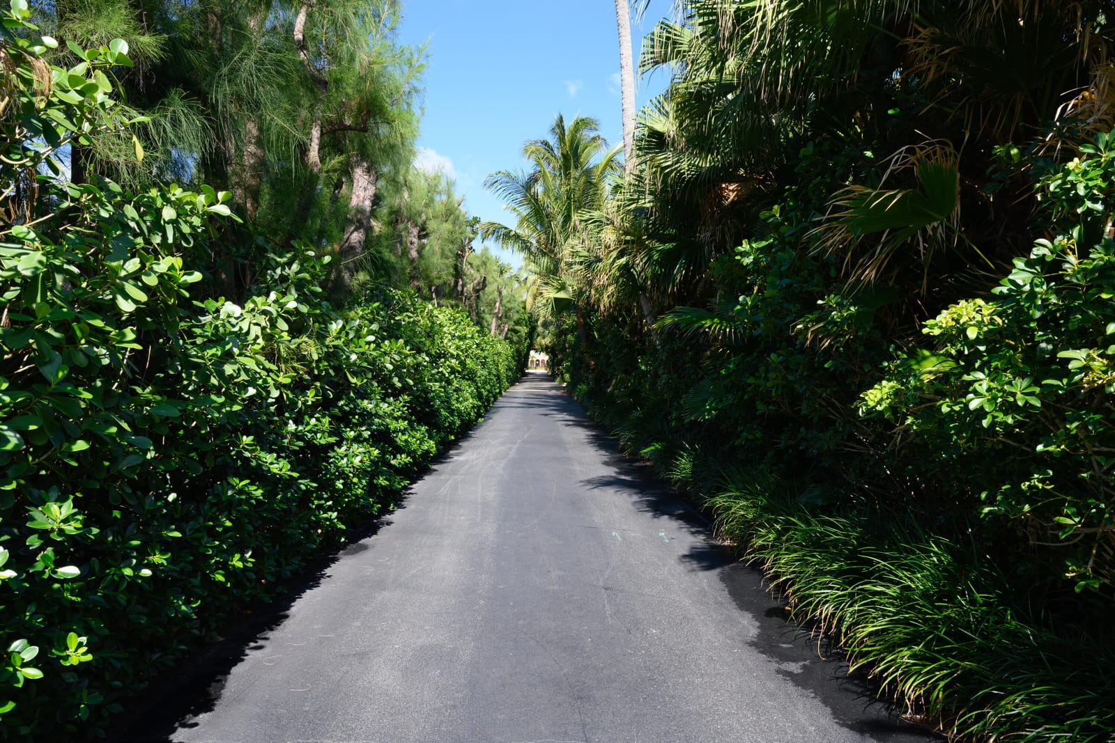 170 N Ocean Boulevard 207, Palm Beach, FL 33480 photo 29