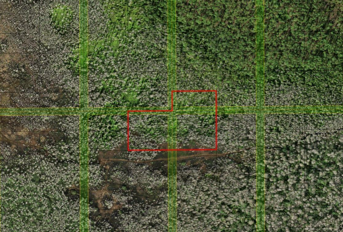 0 Holopaw Groves Road, St. Cloud, FL 34772, St Cloud