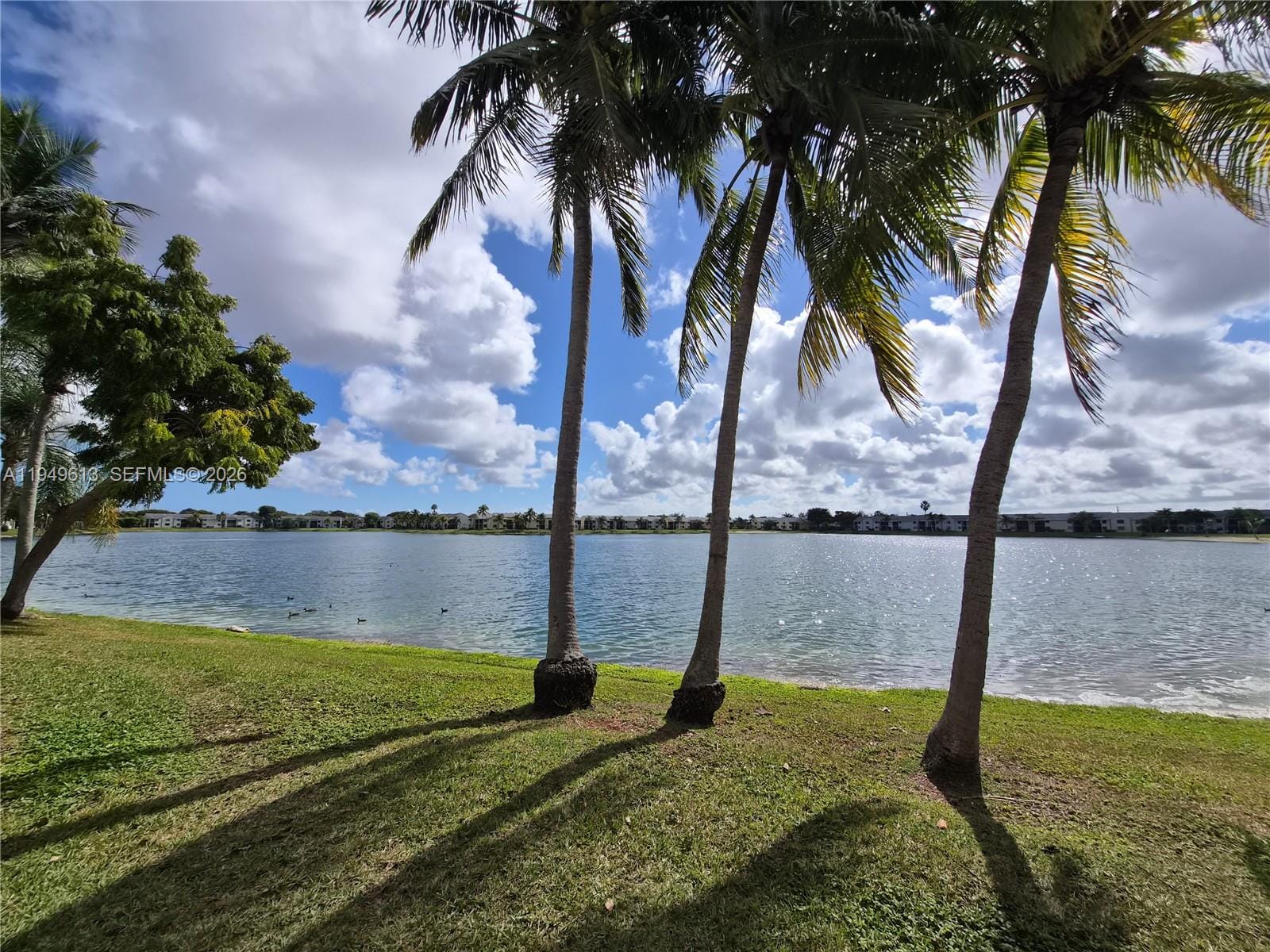 800 Independence Drive 800F, Homestead, FL 33034