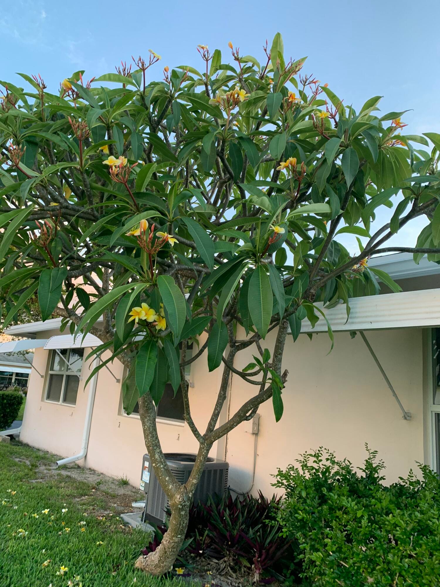 200 South Boulevard A, Boynton Beach, FL 33435 photo 15