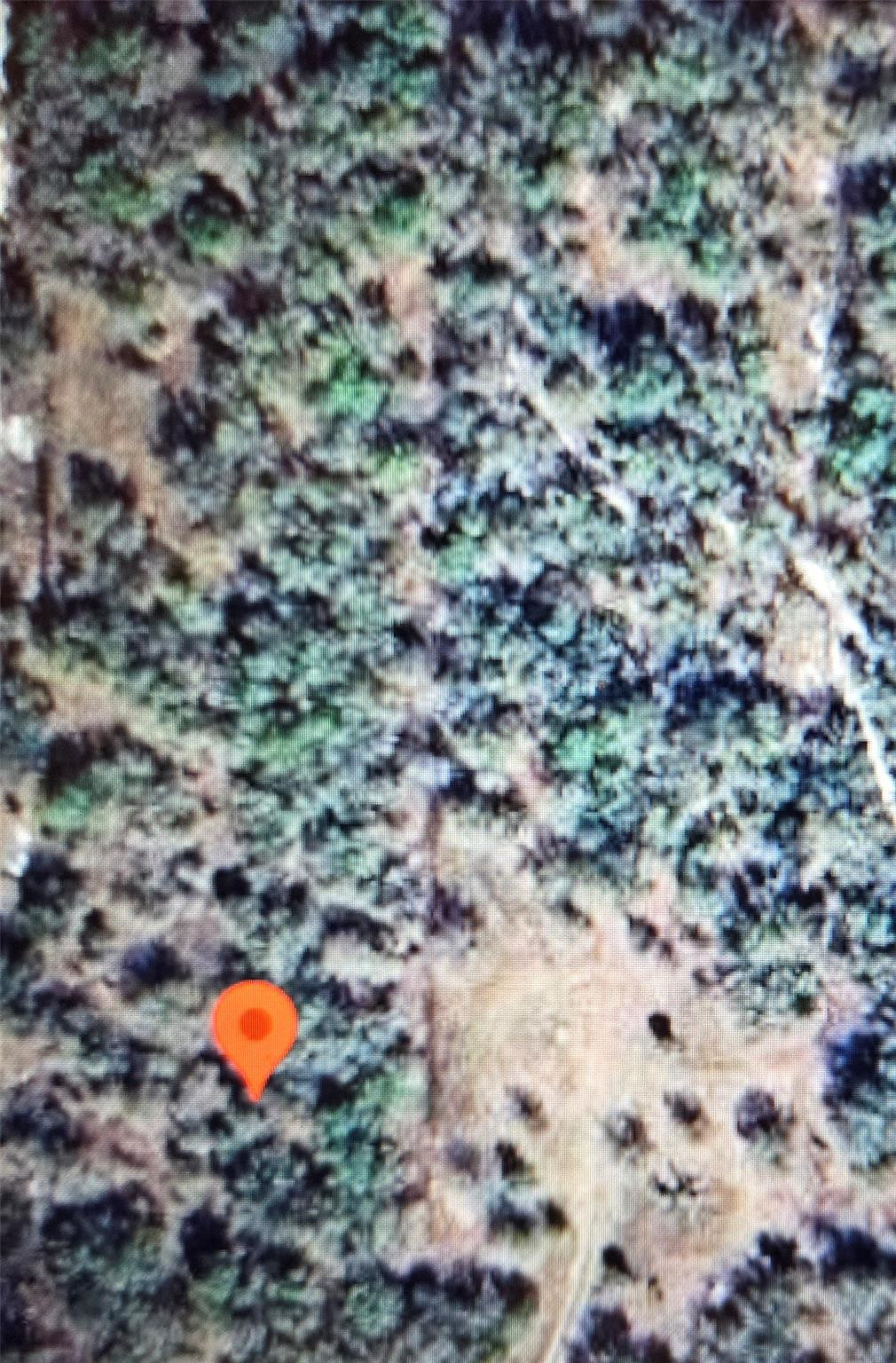 22343 NW 284th Street, Okeechobee, FL 34972, Okeechobee