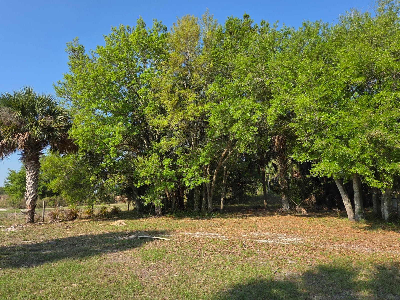 19833 NW 280th Street, Okeechobee, FL 34972 photo 11