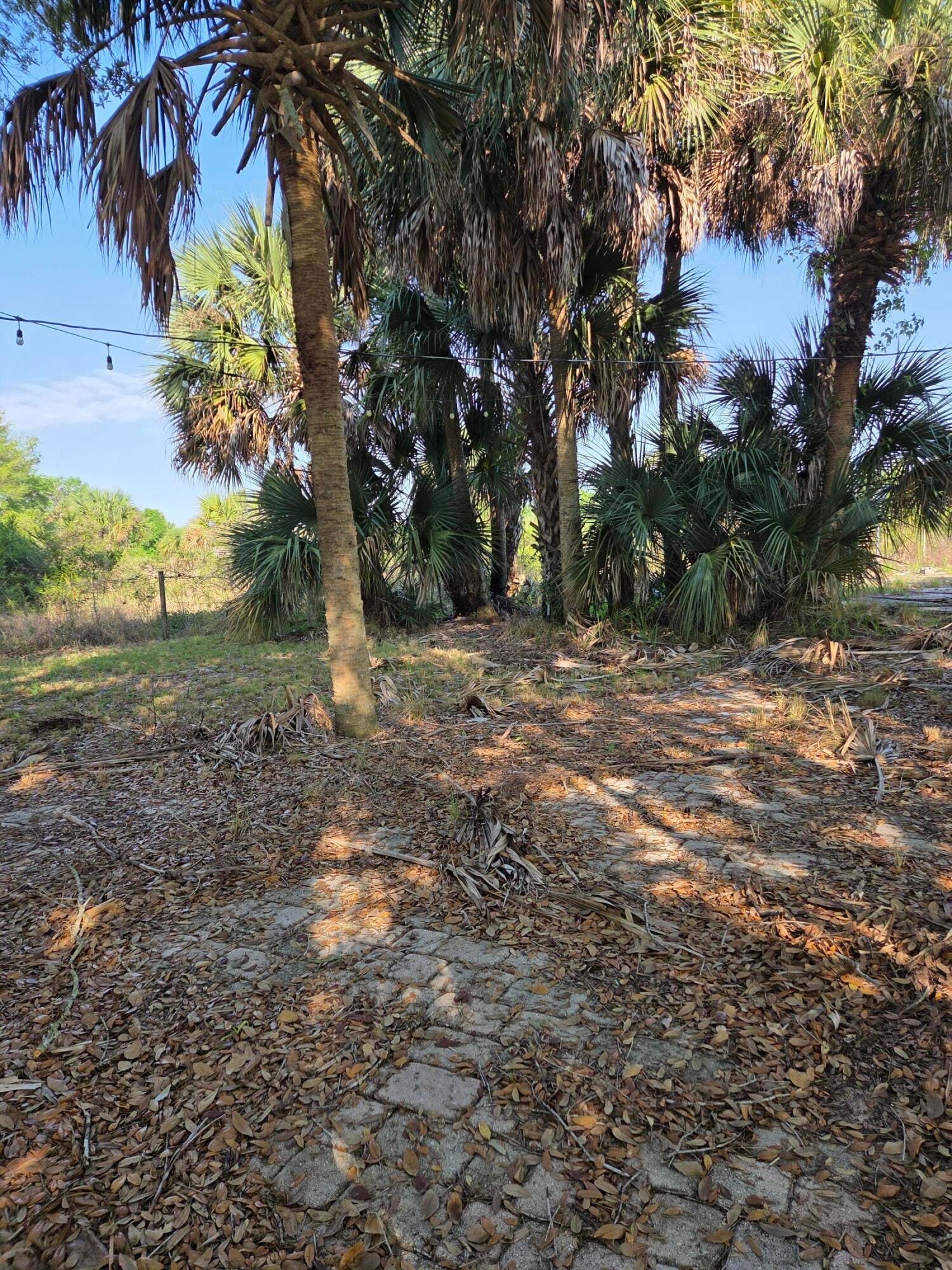 19833 NW 280th Street, Okeechobee, FL 34972 photo 12