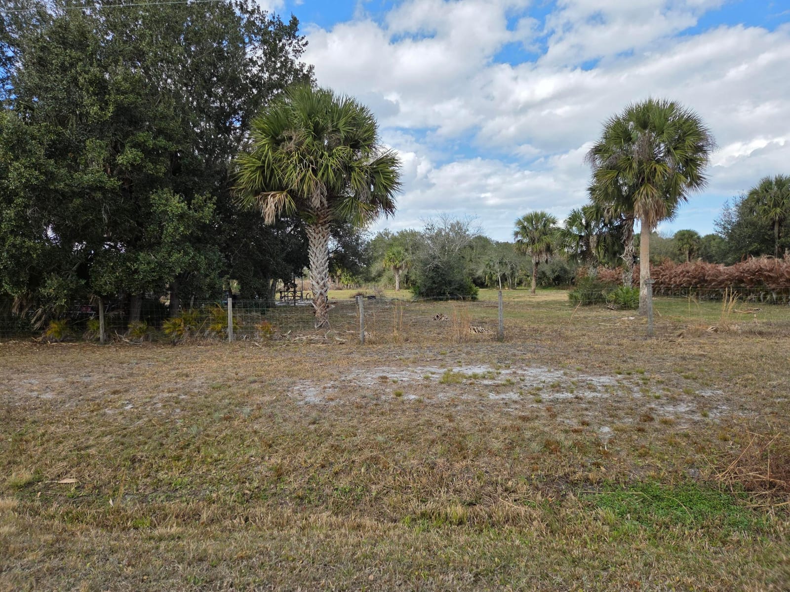 19833 NW 280th Street, Okeechobee, FL 34972 photo 14