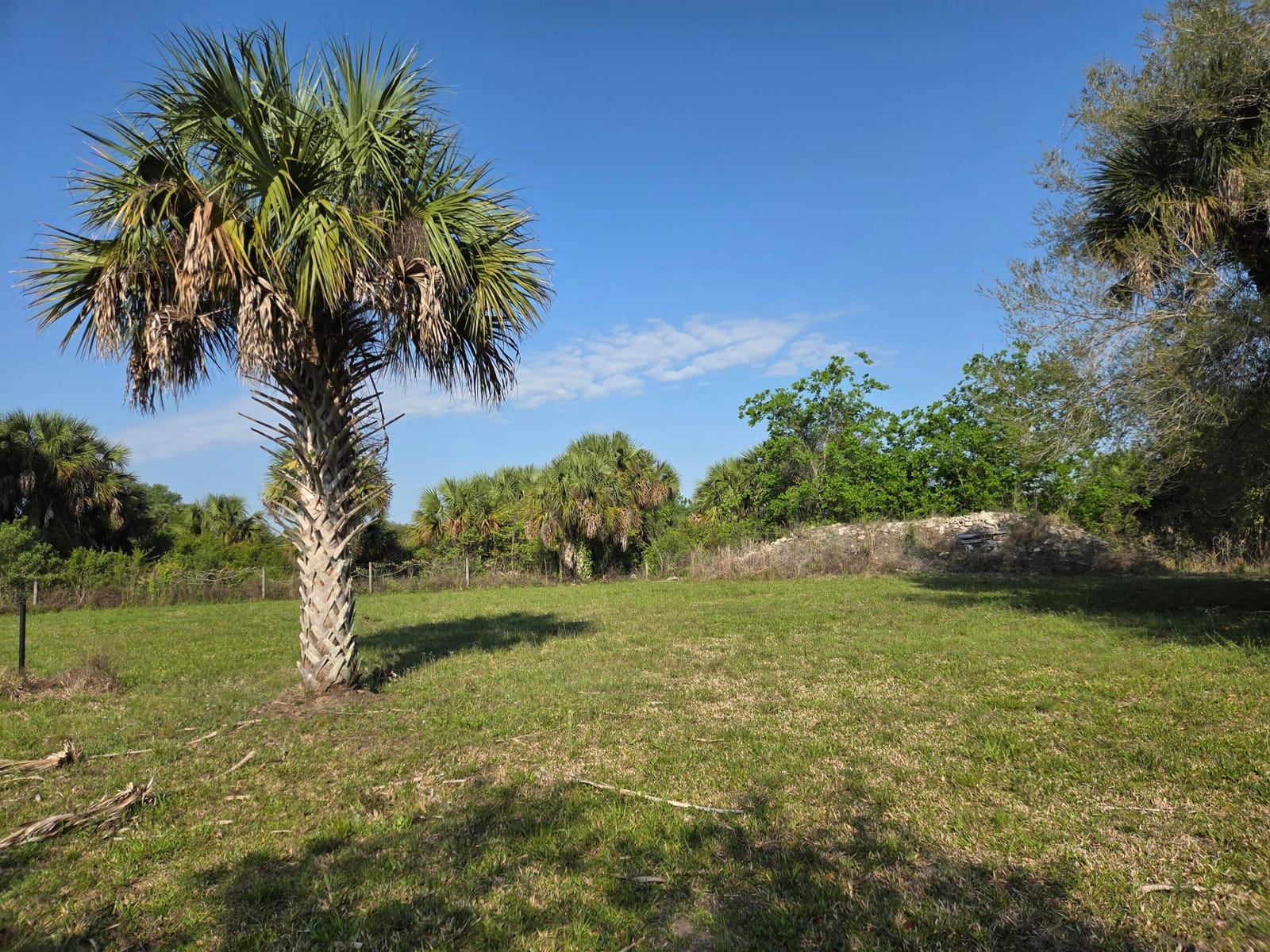 19833 NW 280th Street, Okeechobee, FL 34972 photo 15