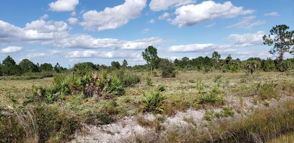 16963 NW 292nd Street, Okeechobee, FL 34972 photo 2