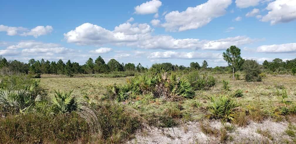 16963 NW 292nd Street, Okeechobee, FL 34972 photo 3