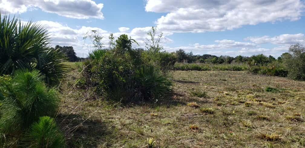 16963 NW 292nd Street, Okeechobee, FL 34972 photo 4