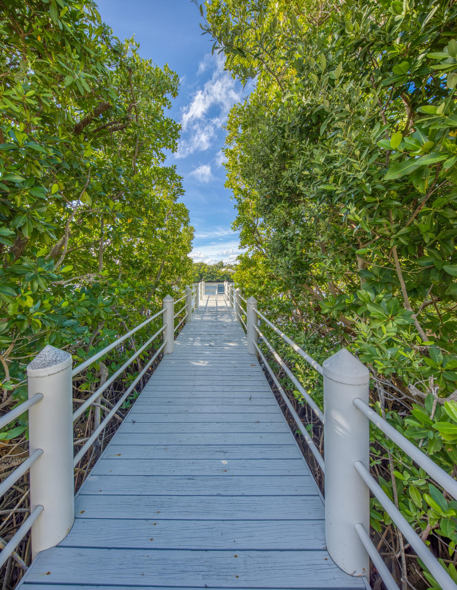3601 S Ocean Boulevard 408, South Palm Beach, FL 33480 photo 28
