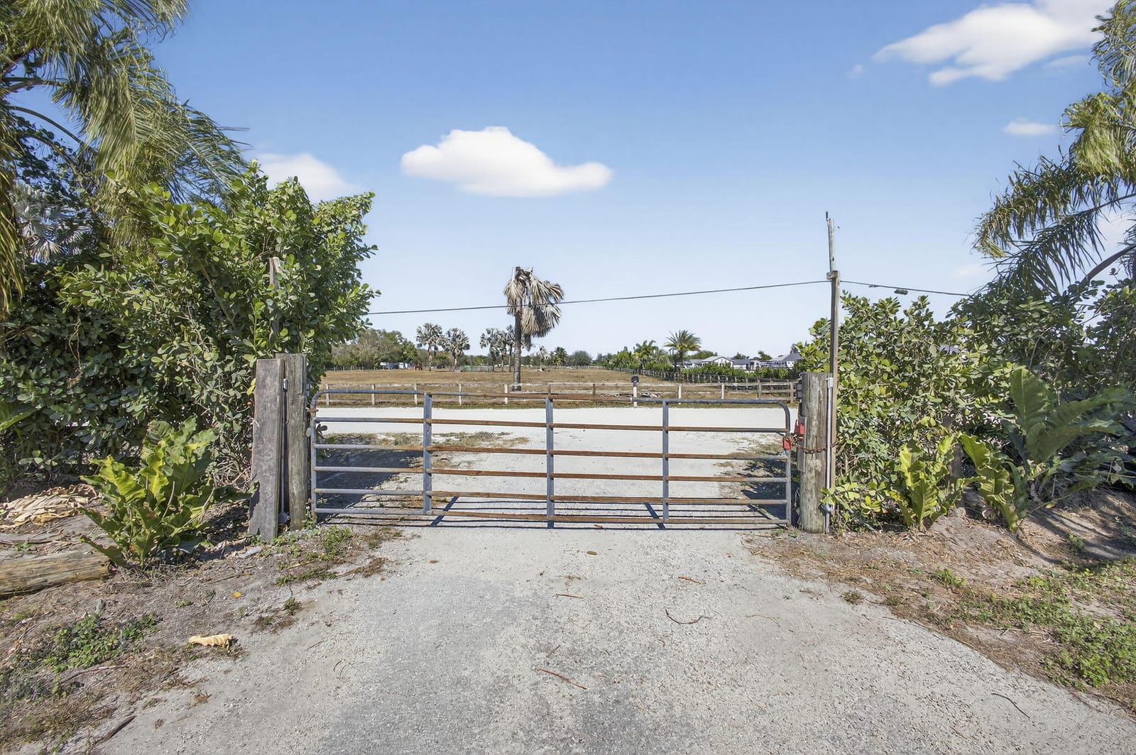 16296 Deer Path Lane — photo 9