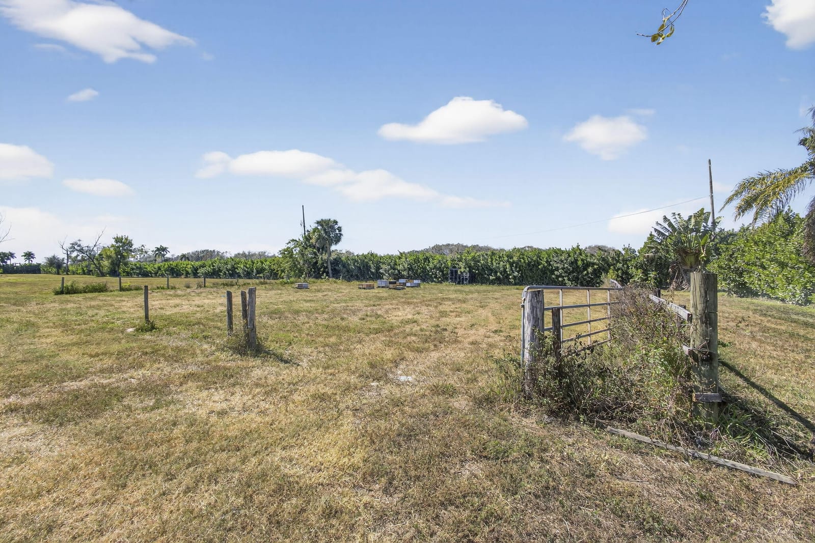 16296 Deer Path Lane — photo 10