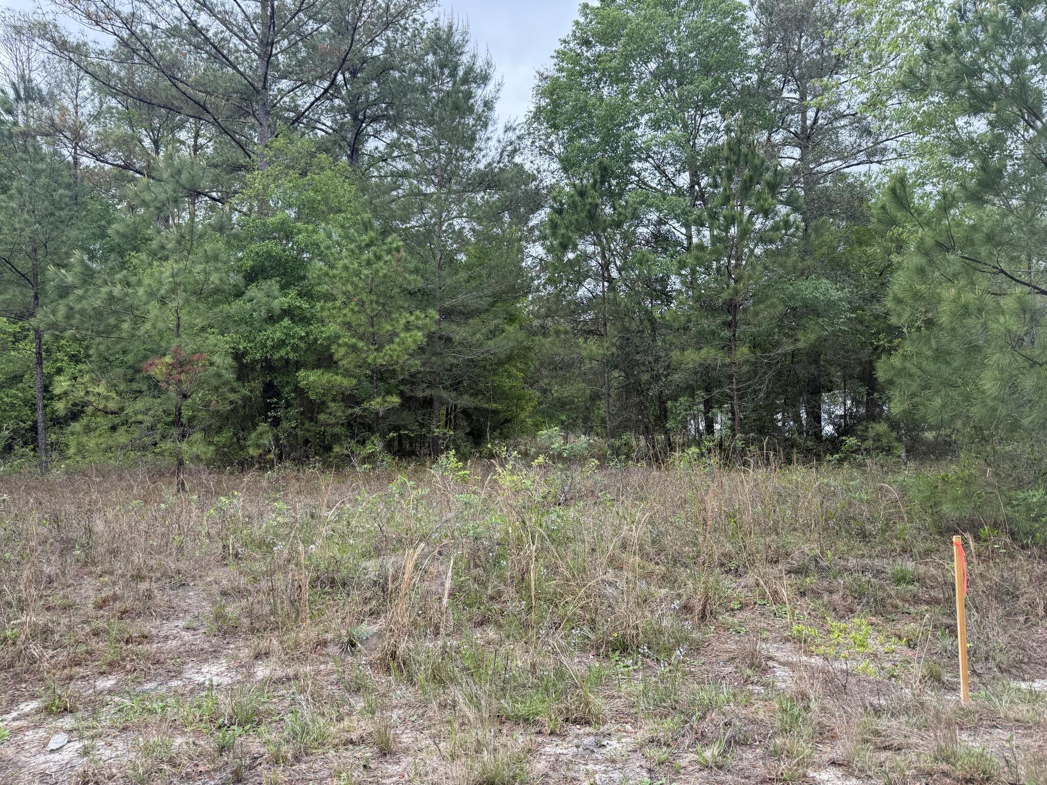 Tbd Maltas Avenue, Interlachen, FL 32148, Interlachen