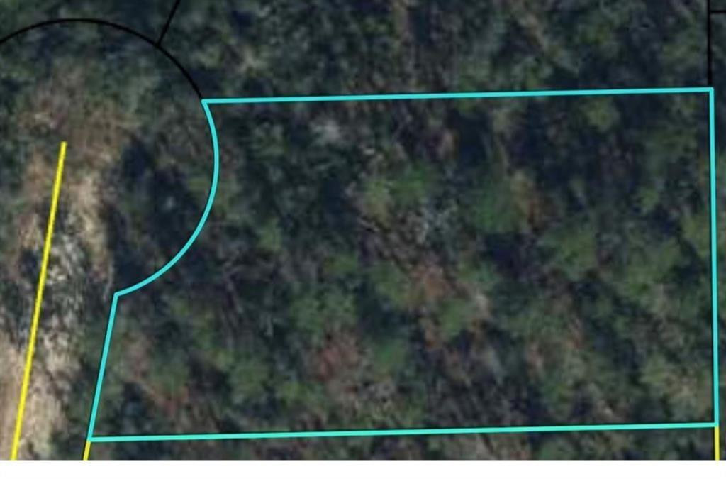 0 Rue, Marianna, FL 32448, Marianna