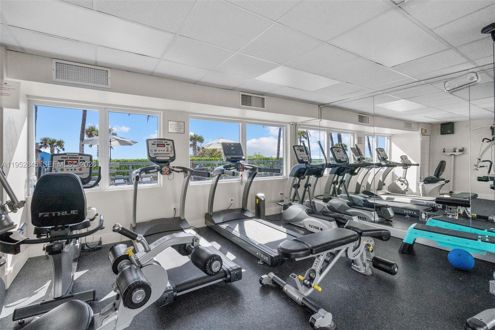 5005 Collins Avenue 415, Miami Beach, FL 33140 photo 28