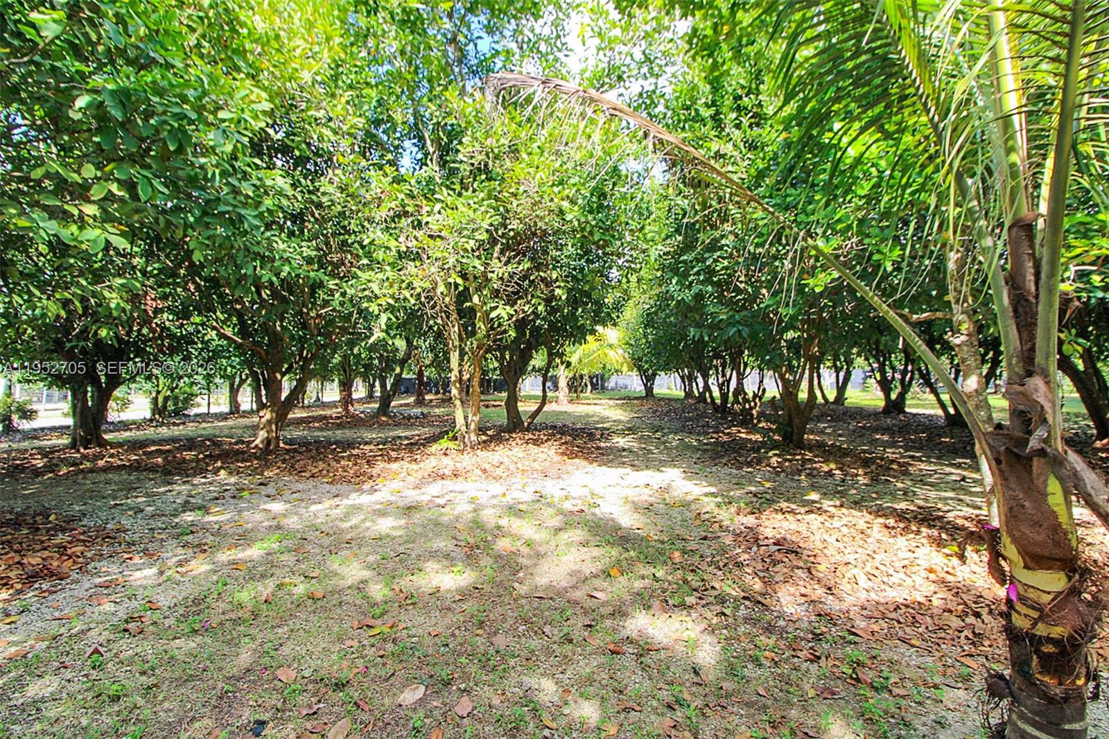 37225 SW 214th Avenue, Homestead, FL 33034 photo 24