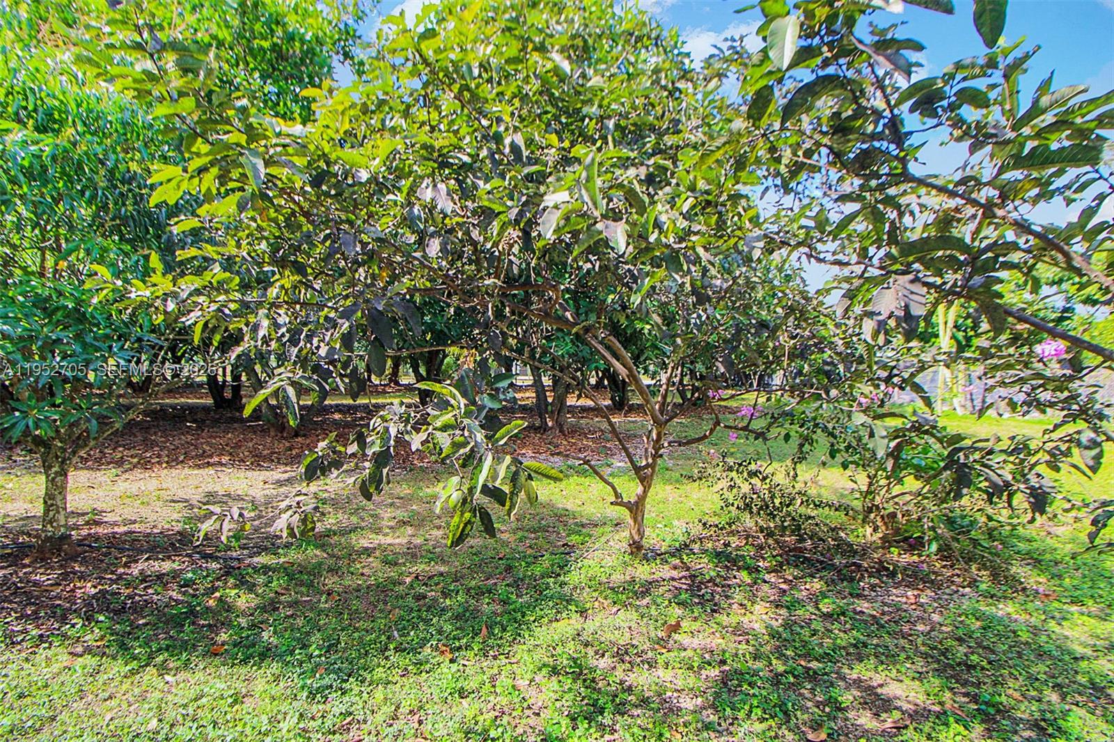 37225 SW 214th Avenue, Homestead, FL 33034 photo 25
