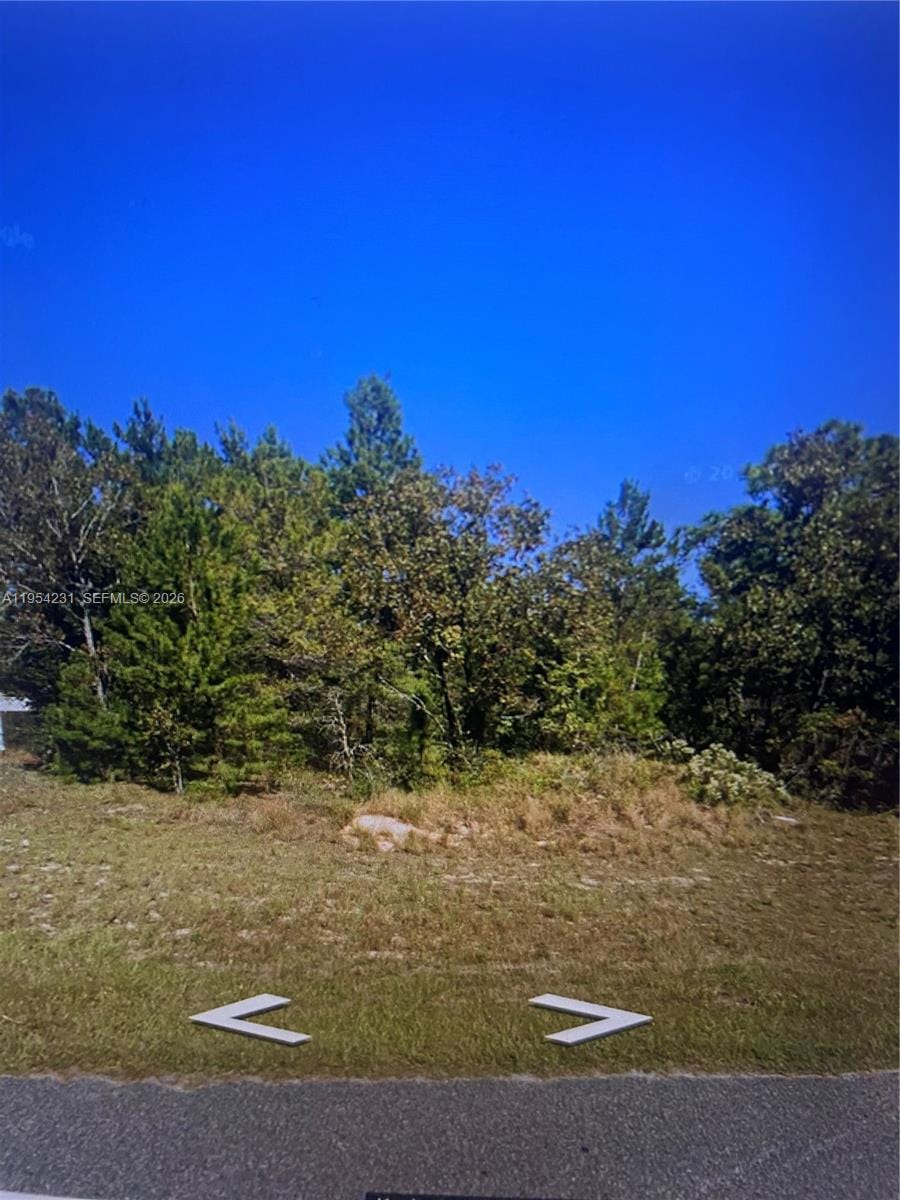 St Interlachen — photo 1