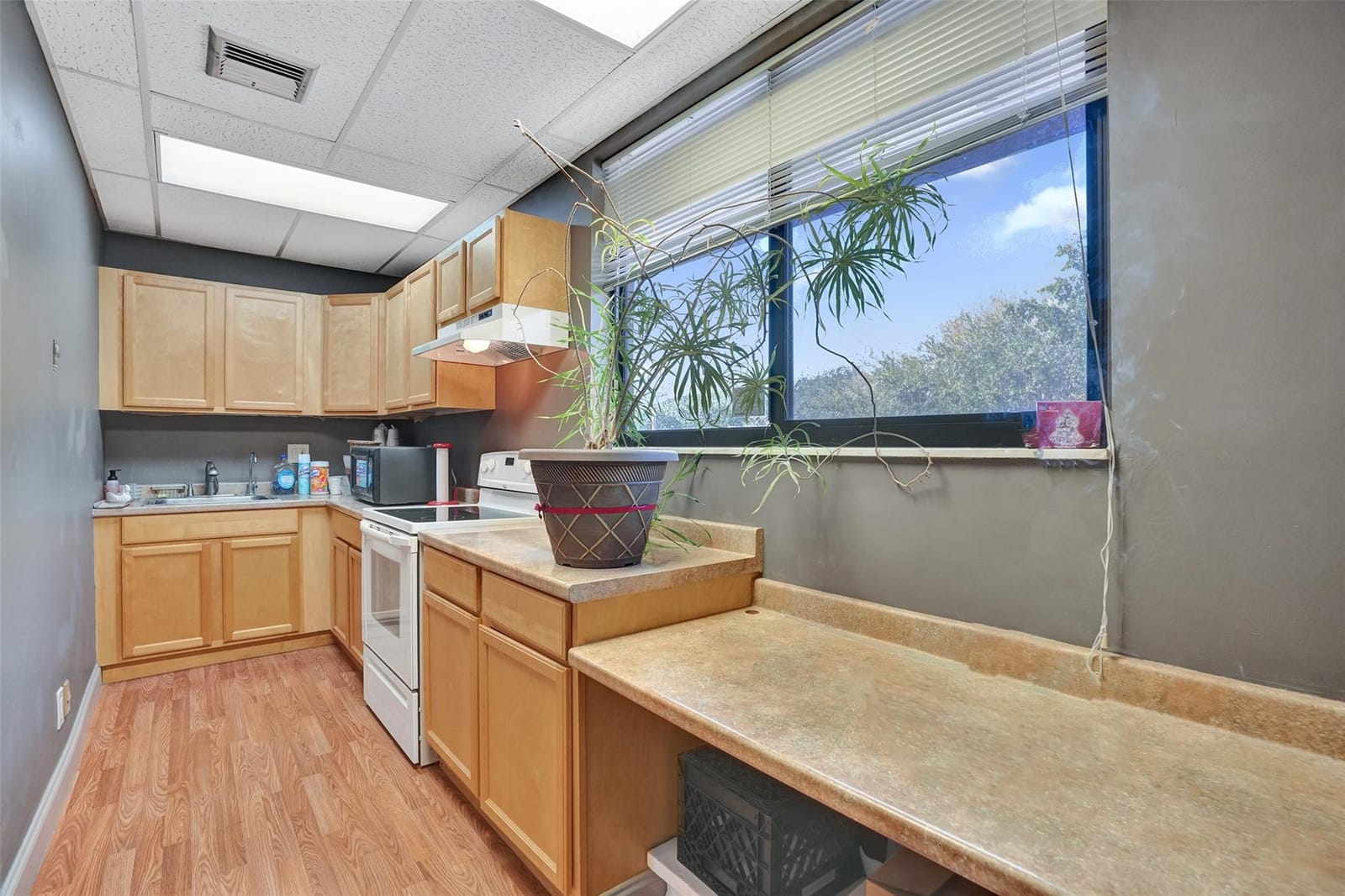 1881 N University Drive 200, Coral Springs, FL 33071 photo 30