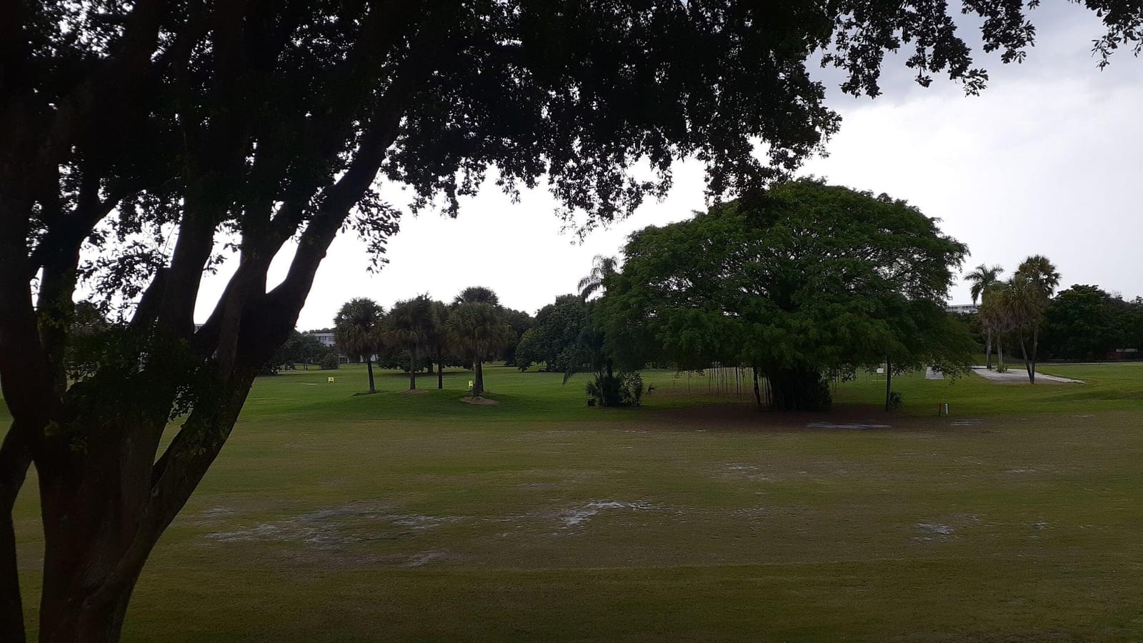 2601 S Course Drive 203, Pompano Beach, FL 33069 photo 29