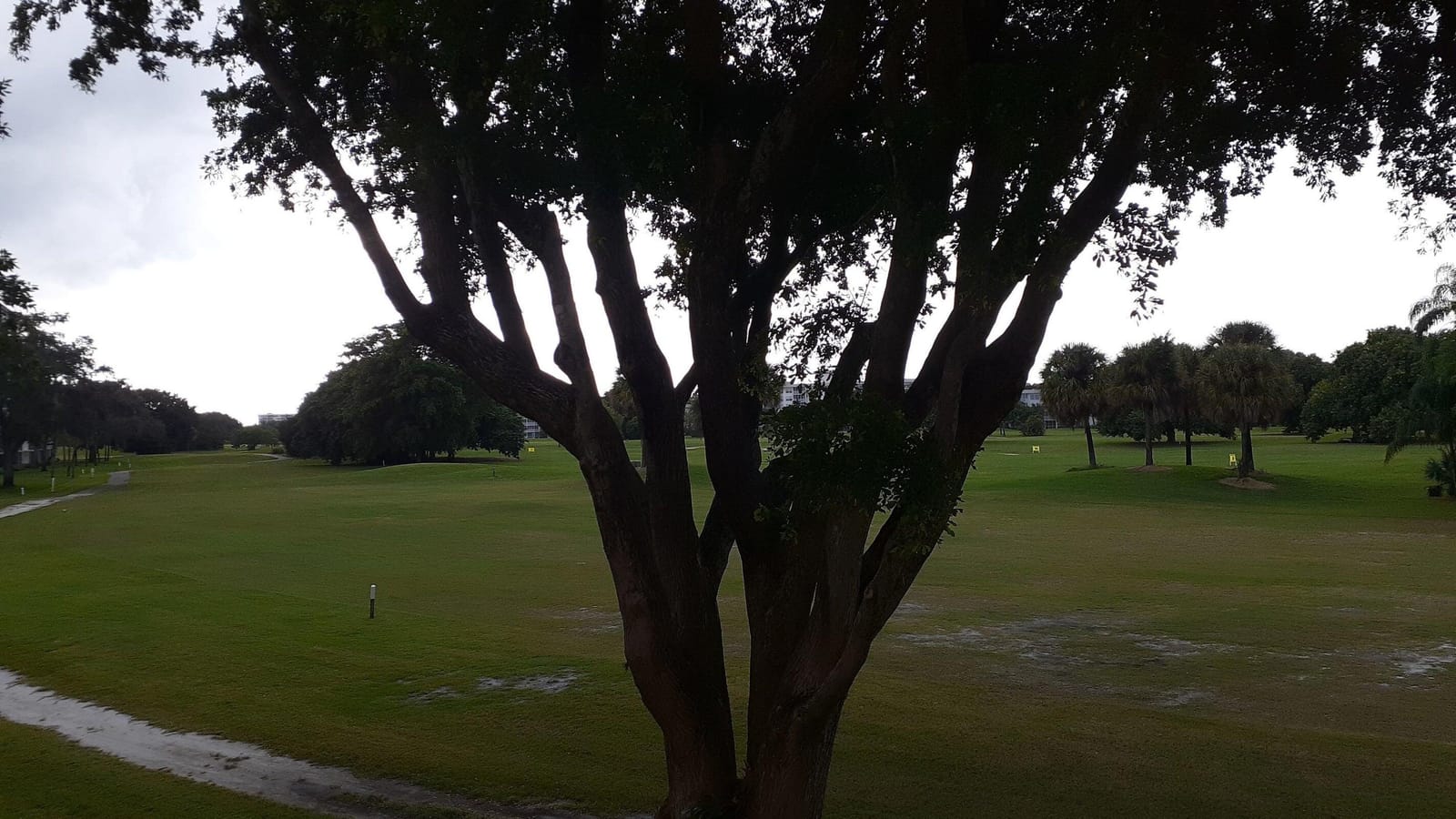 2601 S Course Drive 203, Pompano Beach, FL 33069 photo 30