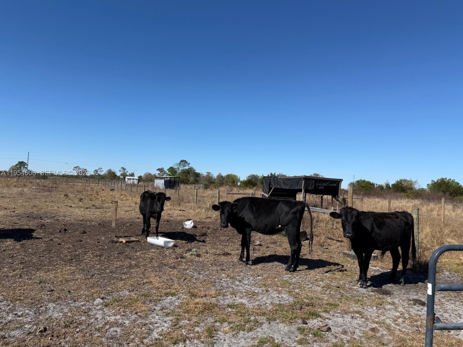 286 Lott Grade — photo 12