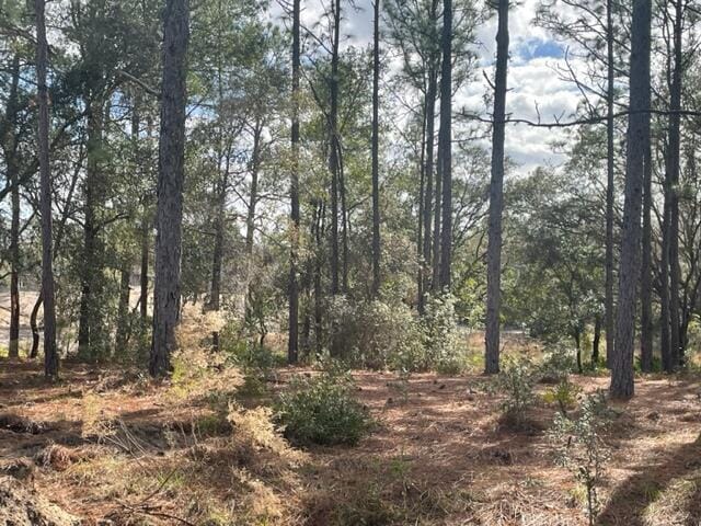 000 Malauka Cir Circle — photo 5