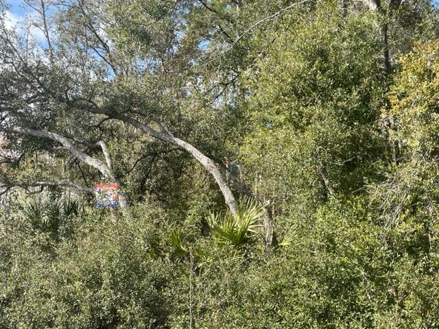 000 Malauka Cir Circle, Ocklawaha, FL 32179, Ocklawaha