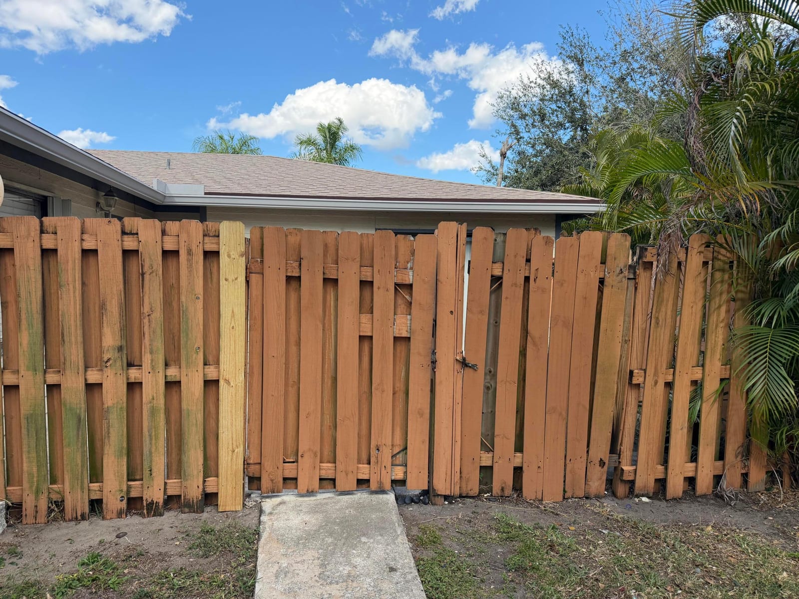 1766 My Place — photo 8