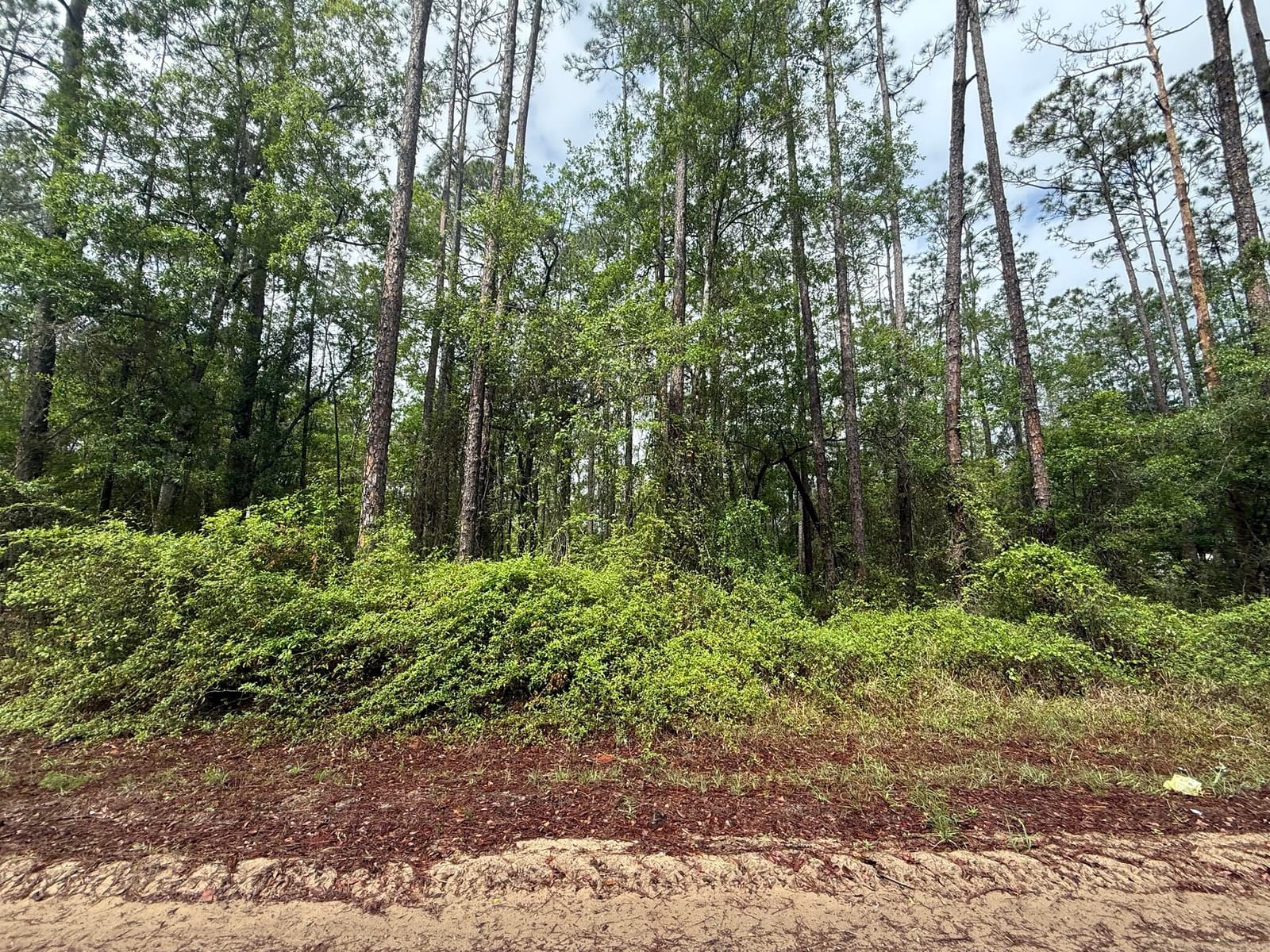 Tbd Seminole Avenue — photo 2