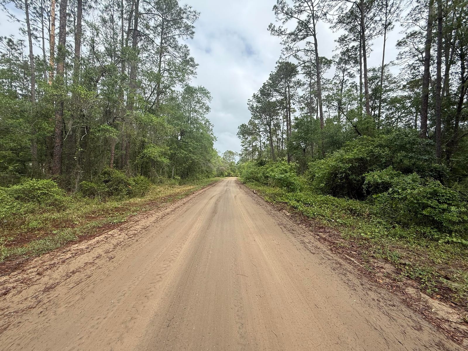 Tbd Seminole Avenue — photo 7