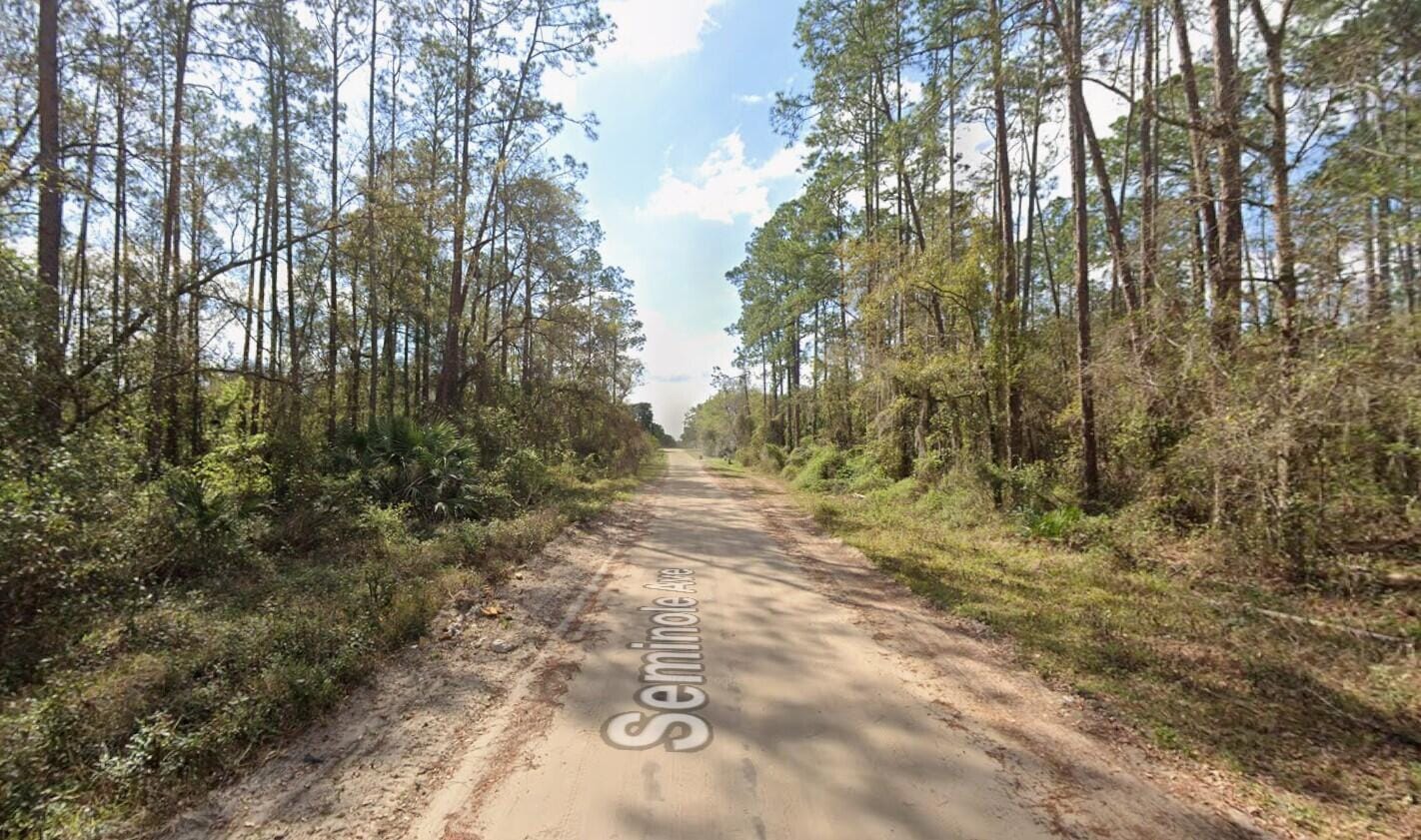 Tbd Seminole Avenue — photo 8