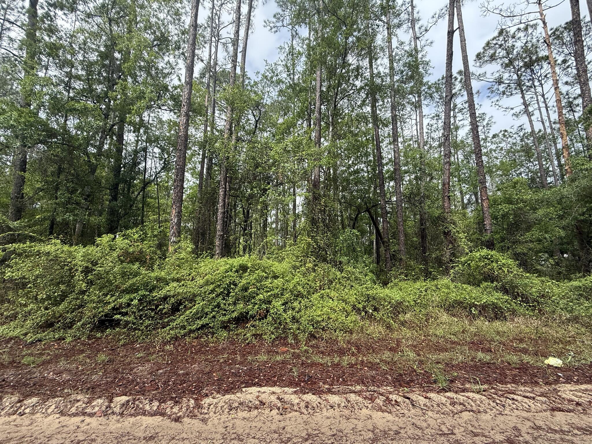 Tbd Seminole Avenue, Interlachen, FL 32148, Interlachen