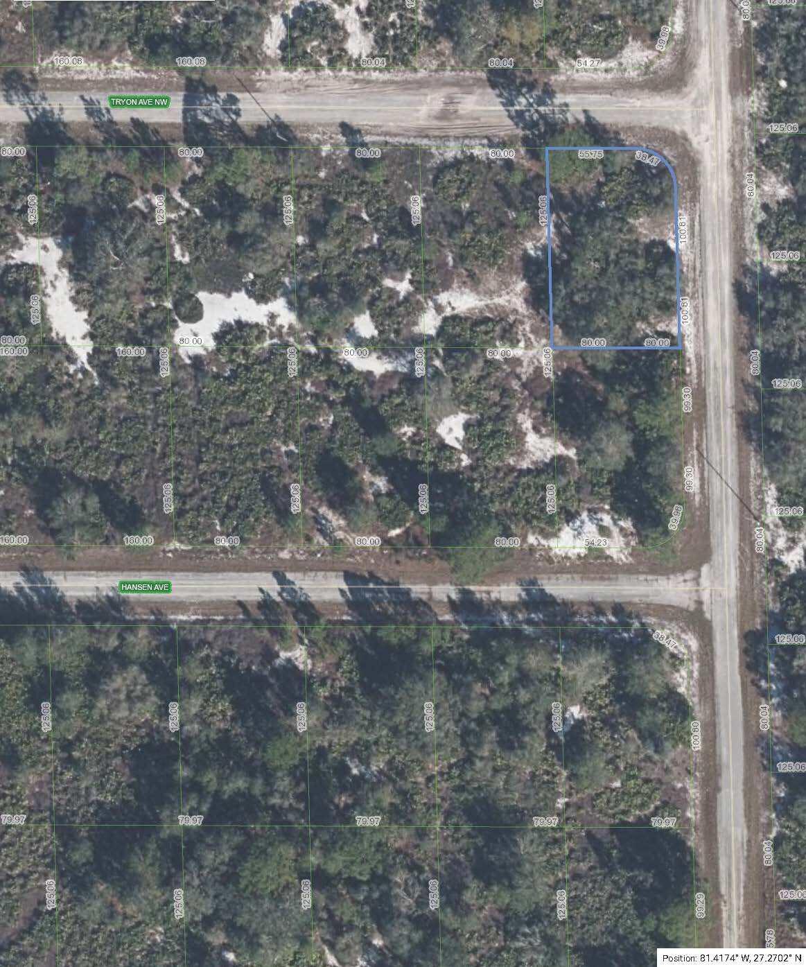 100 Tryon Avenue NW, Lake Placid, FL 33852, Lake Placid