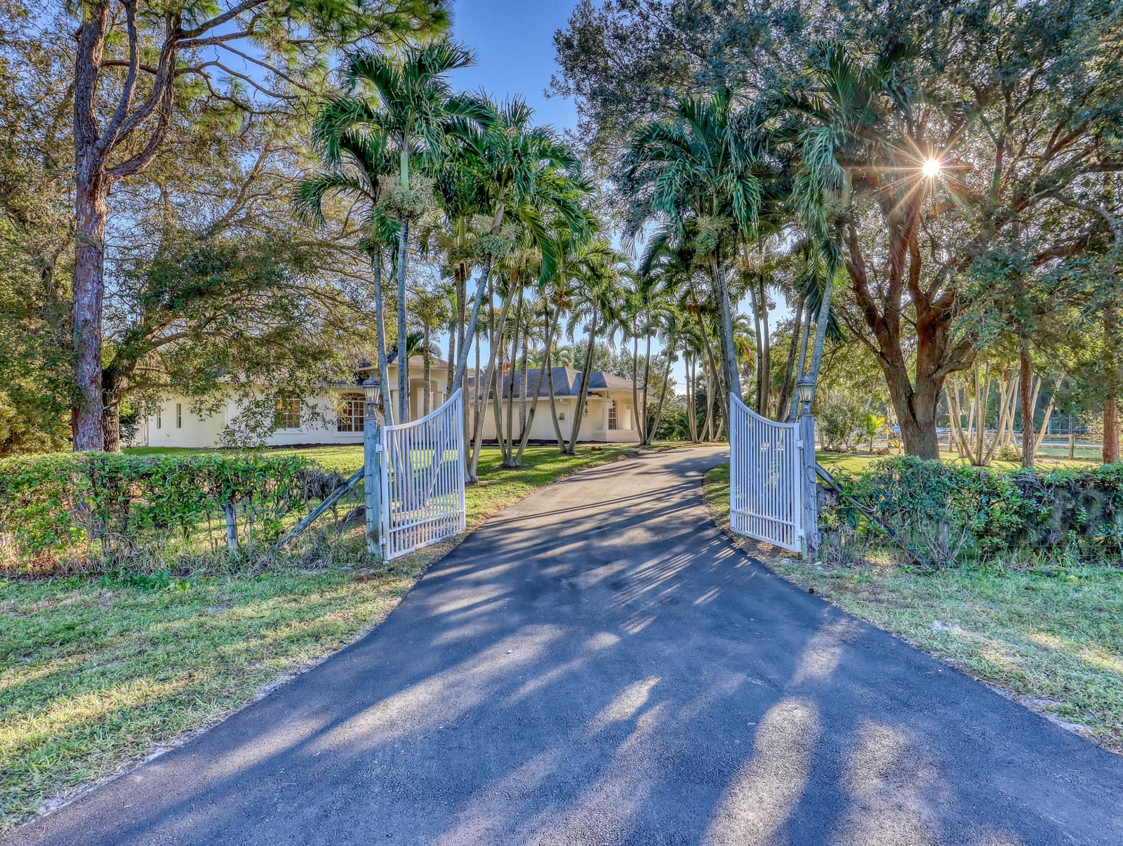 17495 Orange Grove Boulevard, The Acreage, FL 33470 photo 3