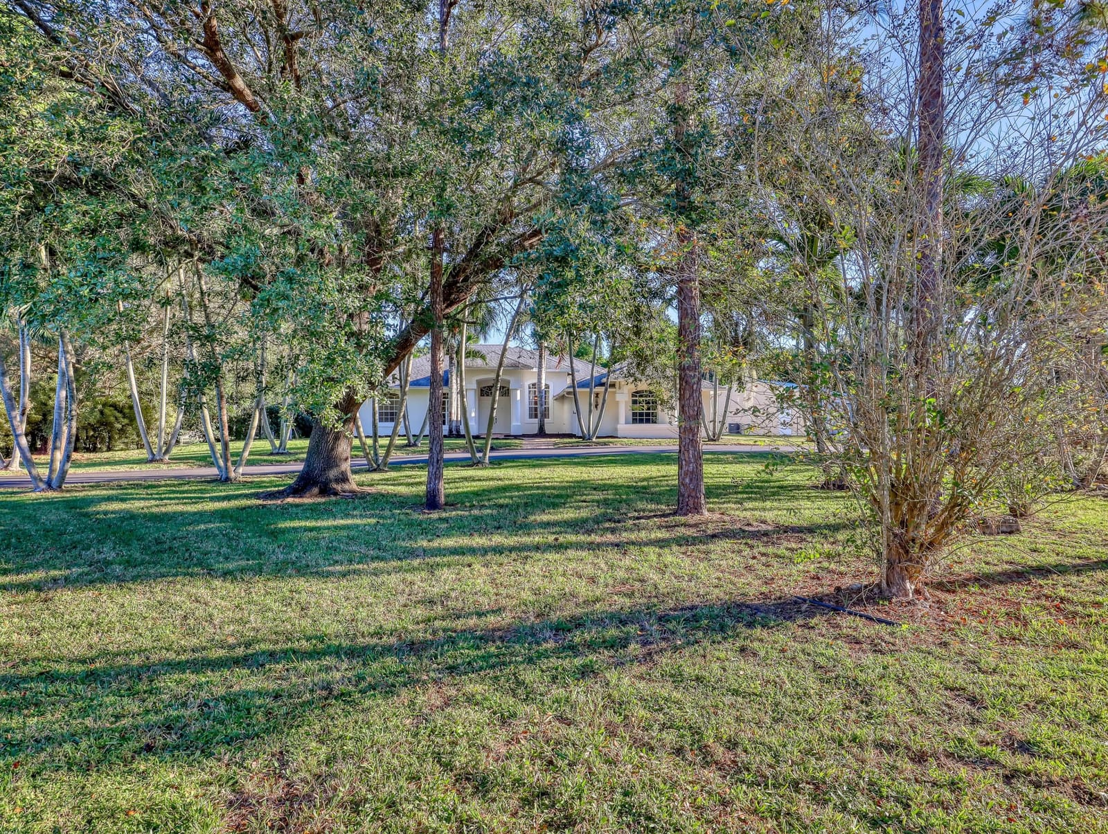 17495 Orange Grove Boulevard, The Acreage, FL 33470 photo 5