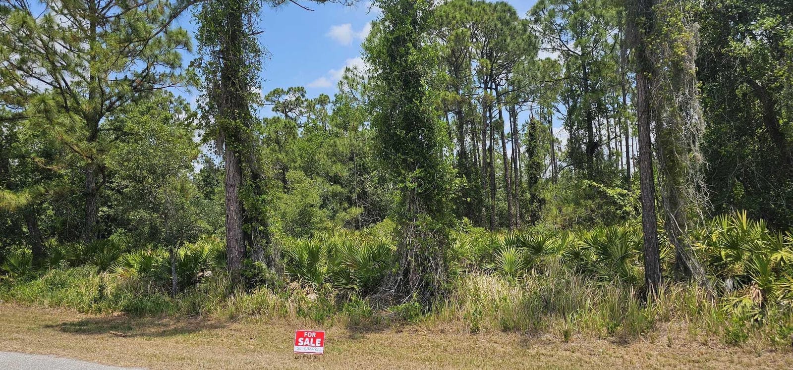 20216 Elrose Avenue — photo 4