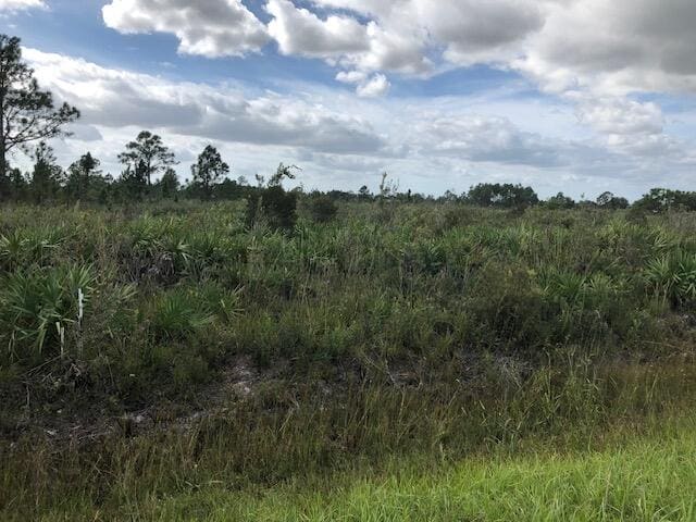 Tbd Undetermined, Citra, FL 32113
