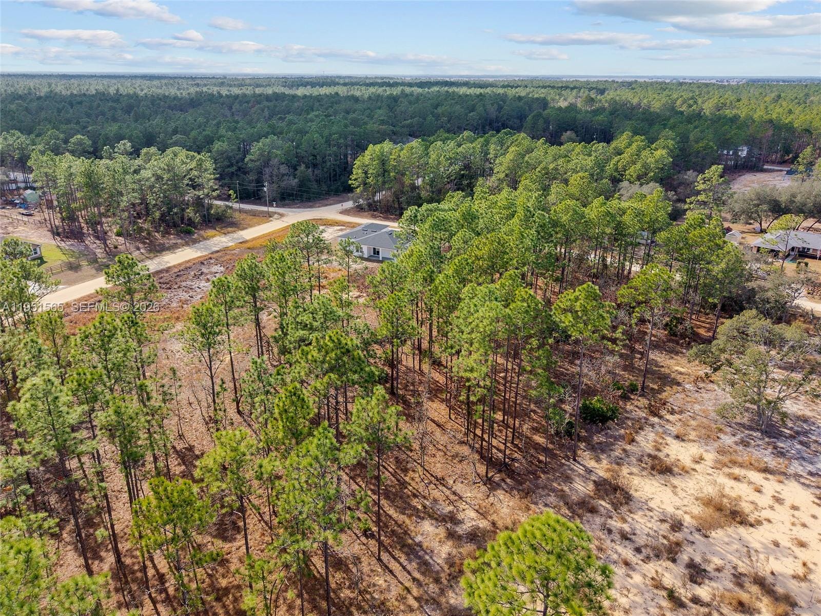 TBD SW 128th Road Terrace, Ocala, FL 34481 photo 14